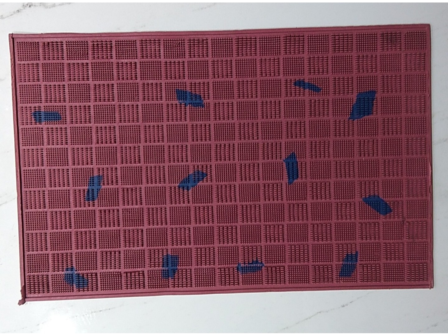 Rajganapathy Floor mats